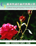 Laizhou Chengxin Dyeing & Textiles Co. Ltd.